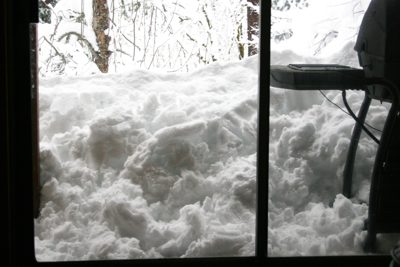 looking-out.jpg