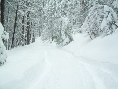 snowy-driveway.jpg
