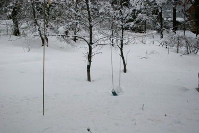 Want to swing?