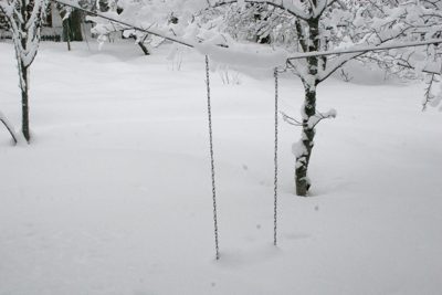swing2.jpg