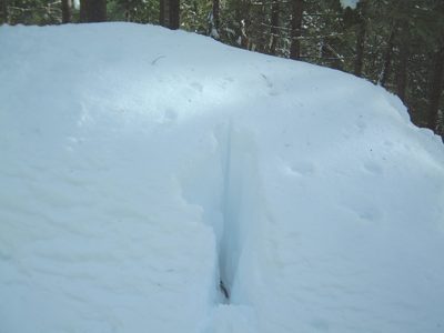 jeep2.jpg
